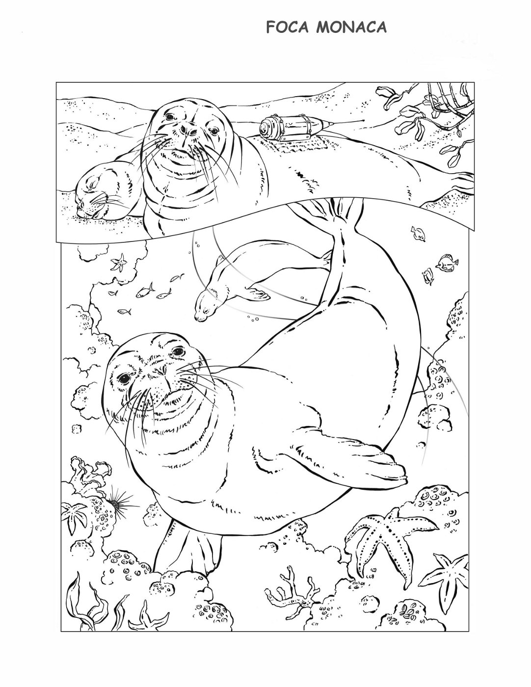 coloring-book-animals A_22